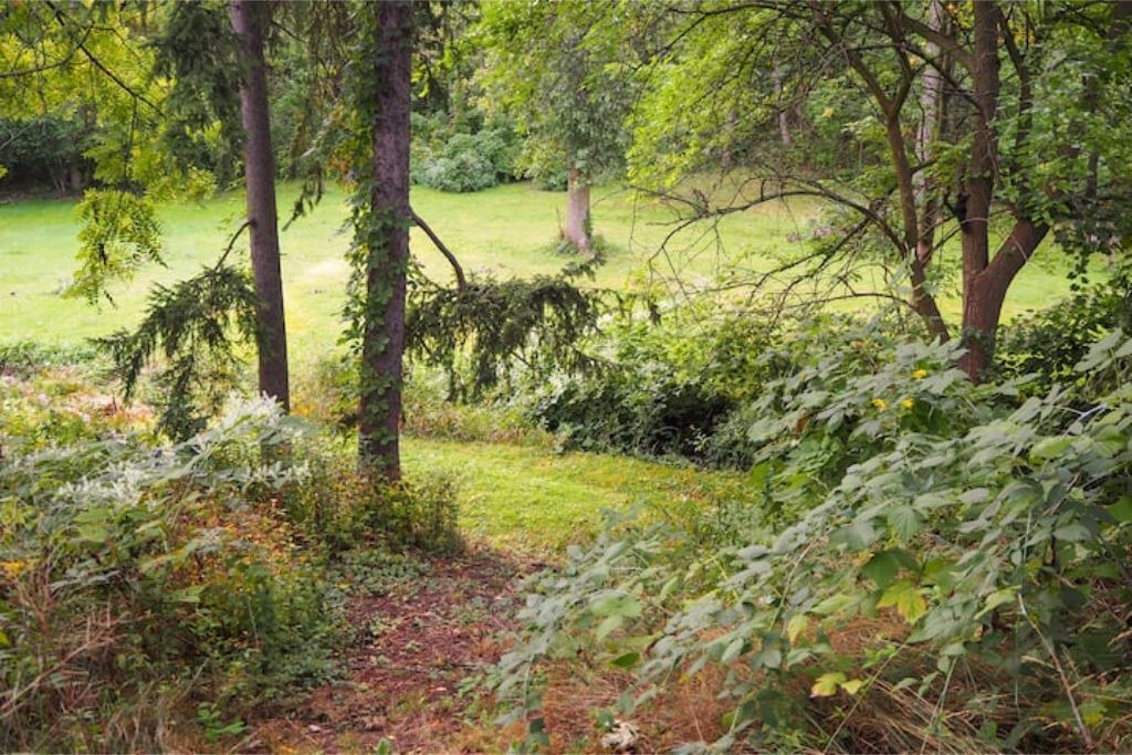 Photo of Outdoor in St. Davids