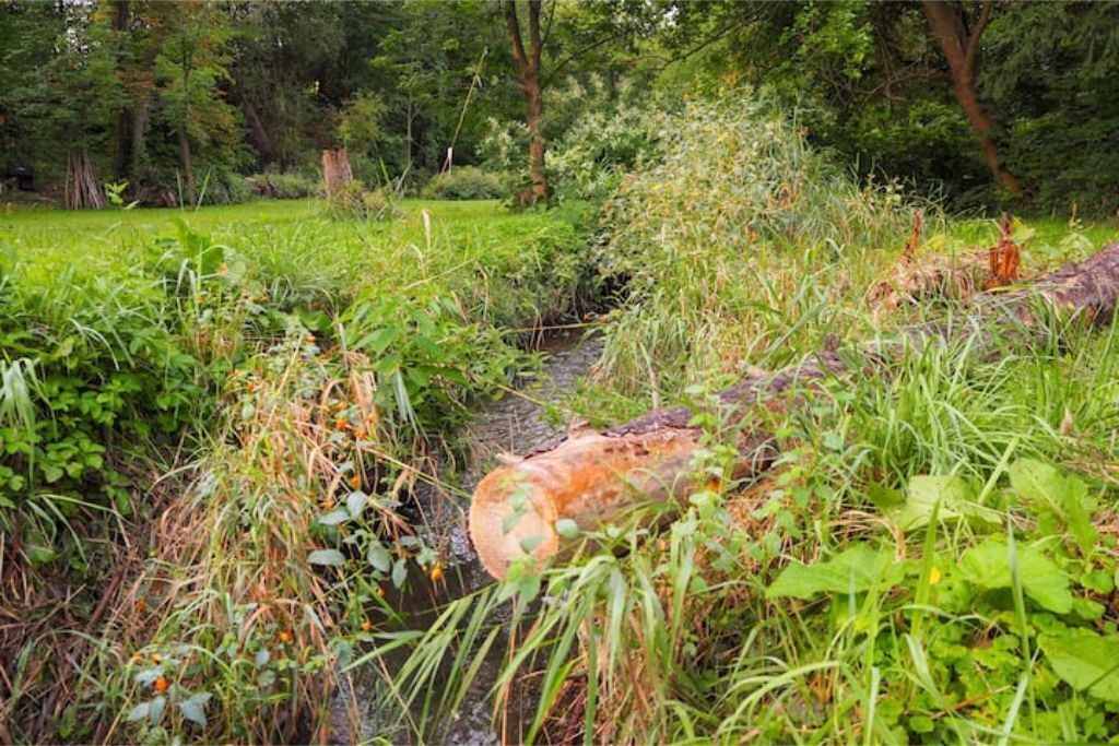 Photo of Outdoor in St. Davids