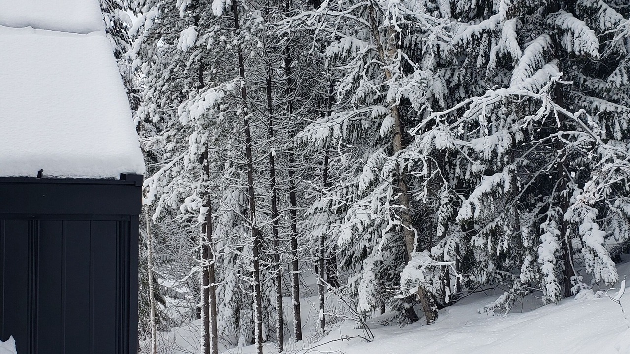 Photo of Outdoor in Silver Star Mountain