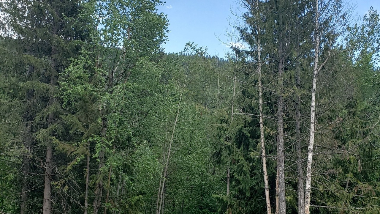 Photo of Outdoor in Silver Star Mountain
