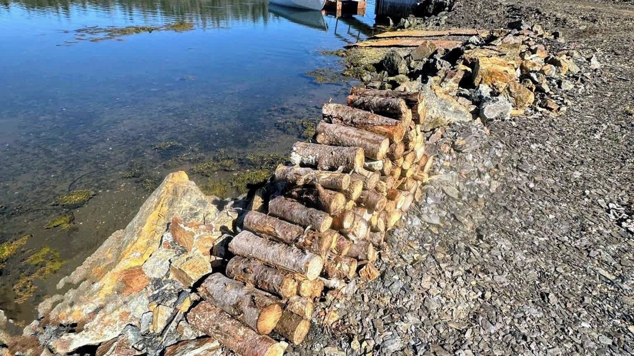 Photo of Others in Newfoundland