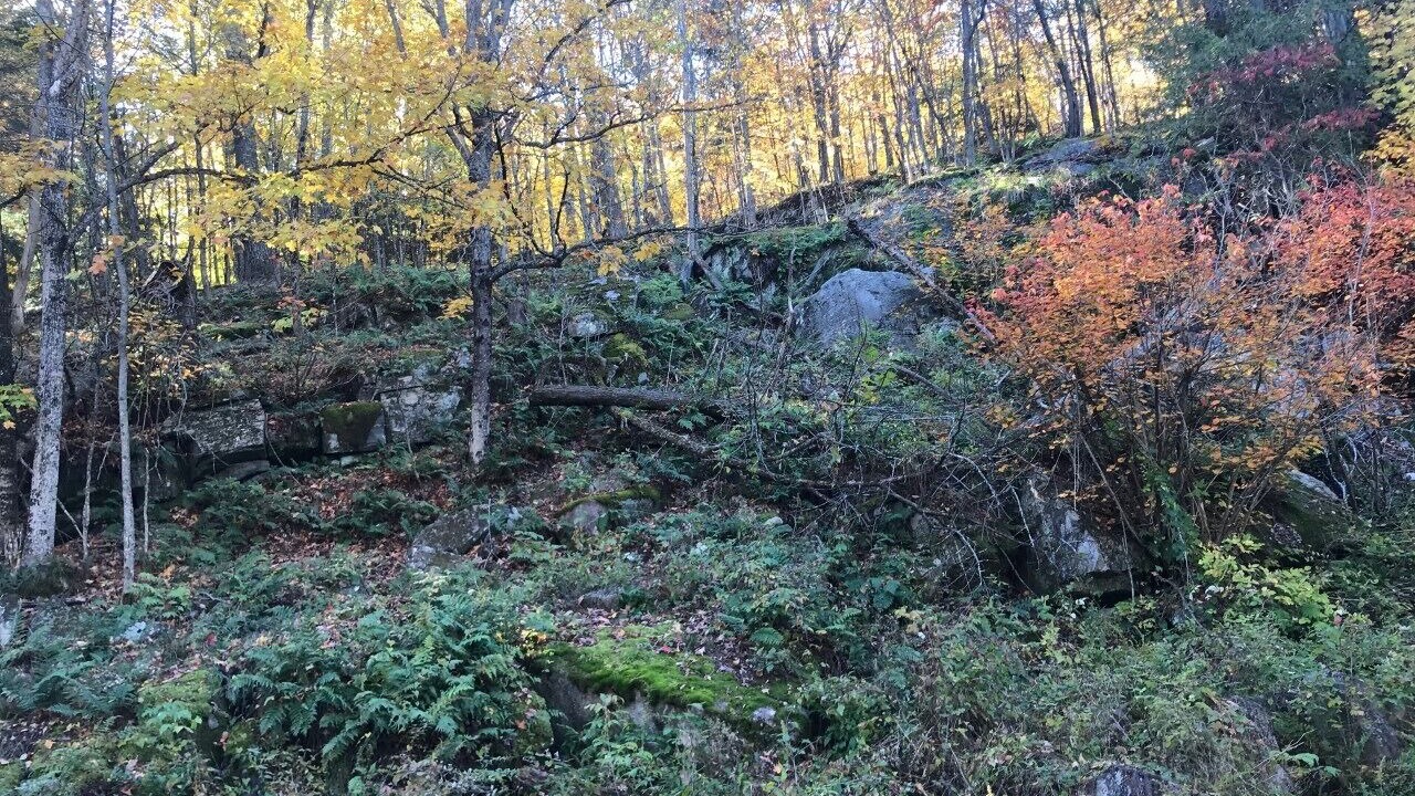 Photo of Others in Utterson