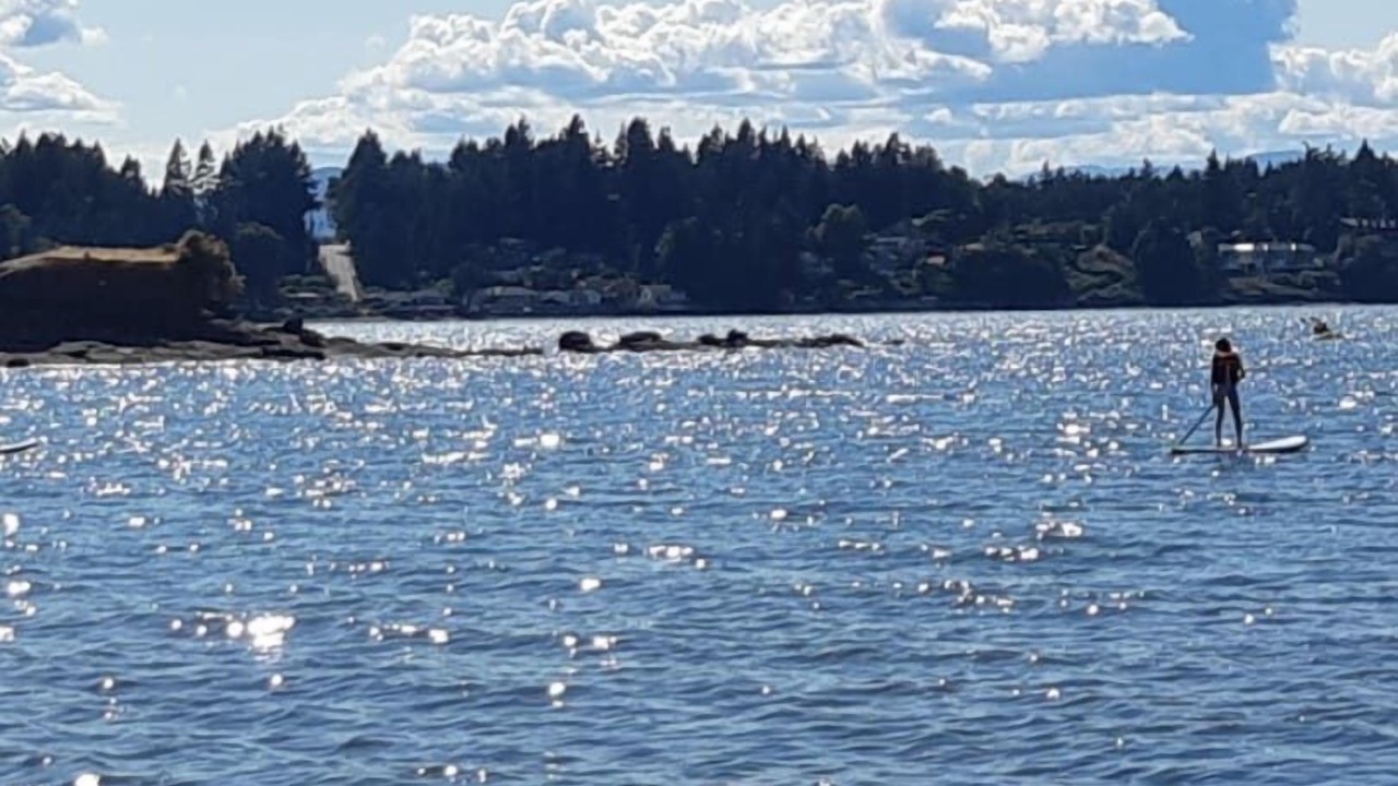 Photo of Others in Regional District of Nanaimo