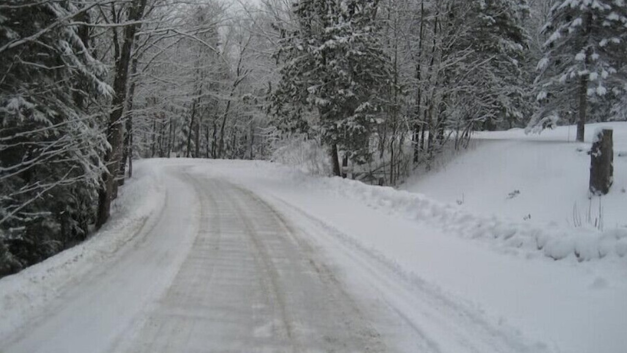 Photo of Outdoor in Wollaston