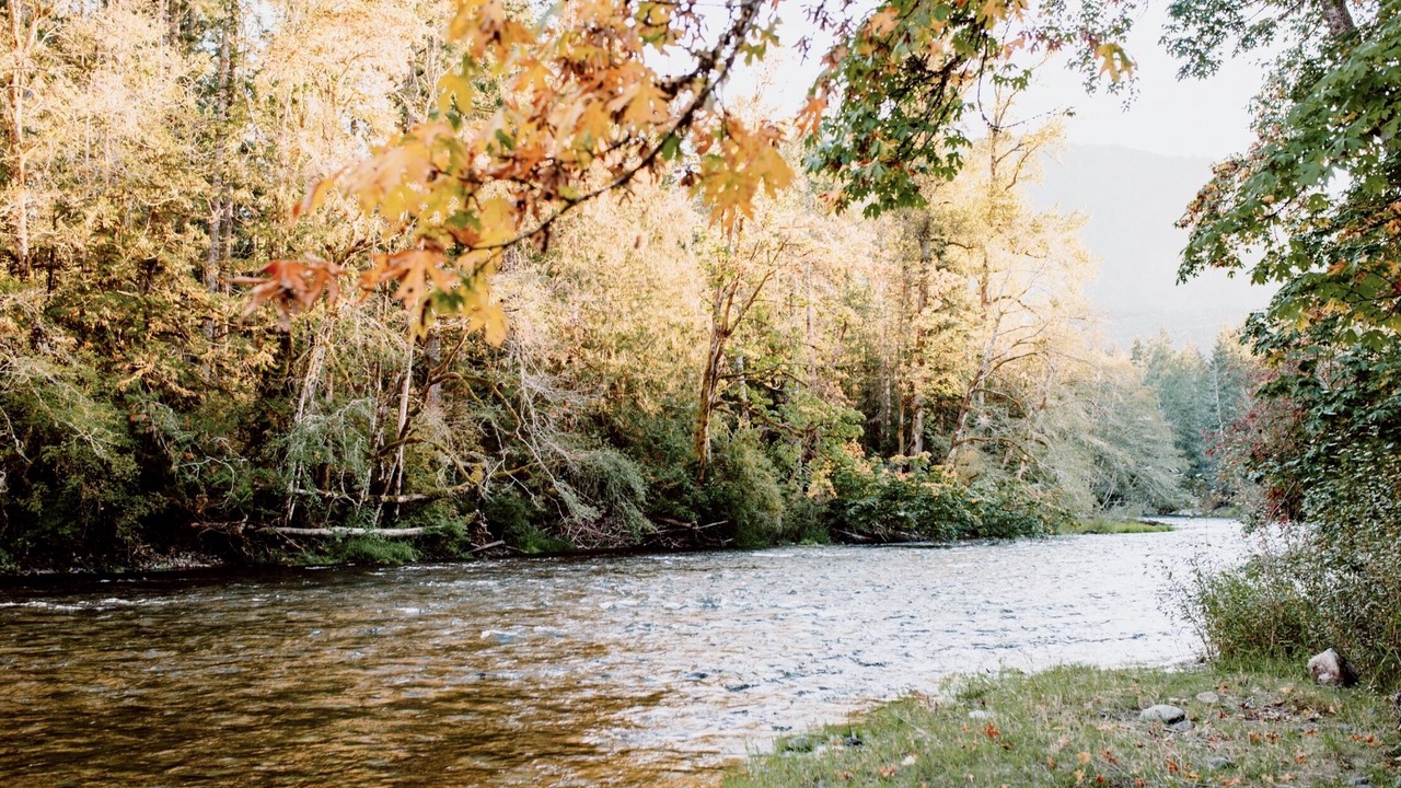 Photo of Outdoor in Lake Cowichan