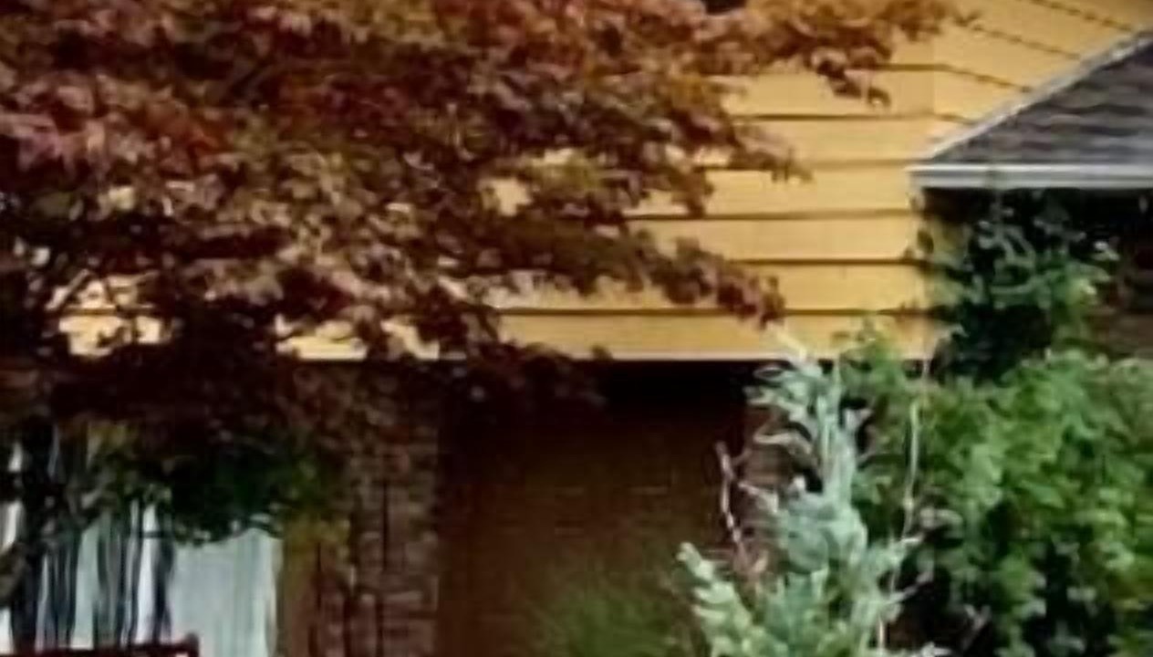 Photo of Others in Port Alberni