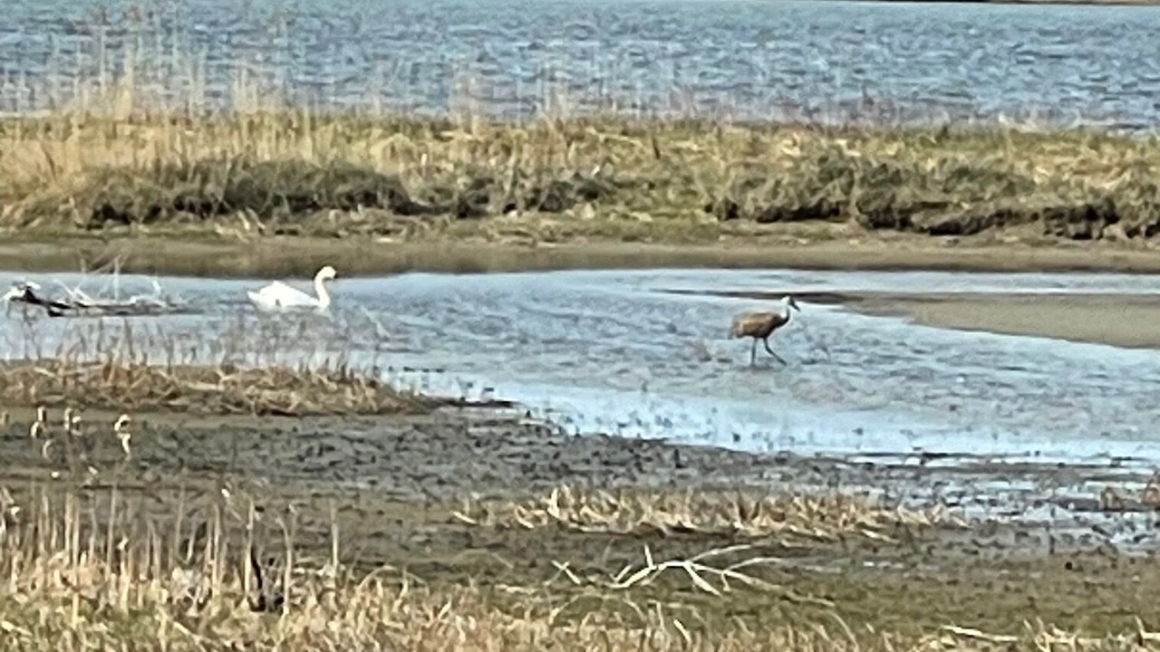Photo of Others in Stokes Bay