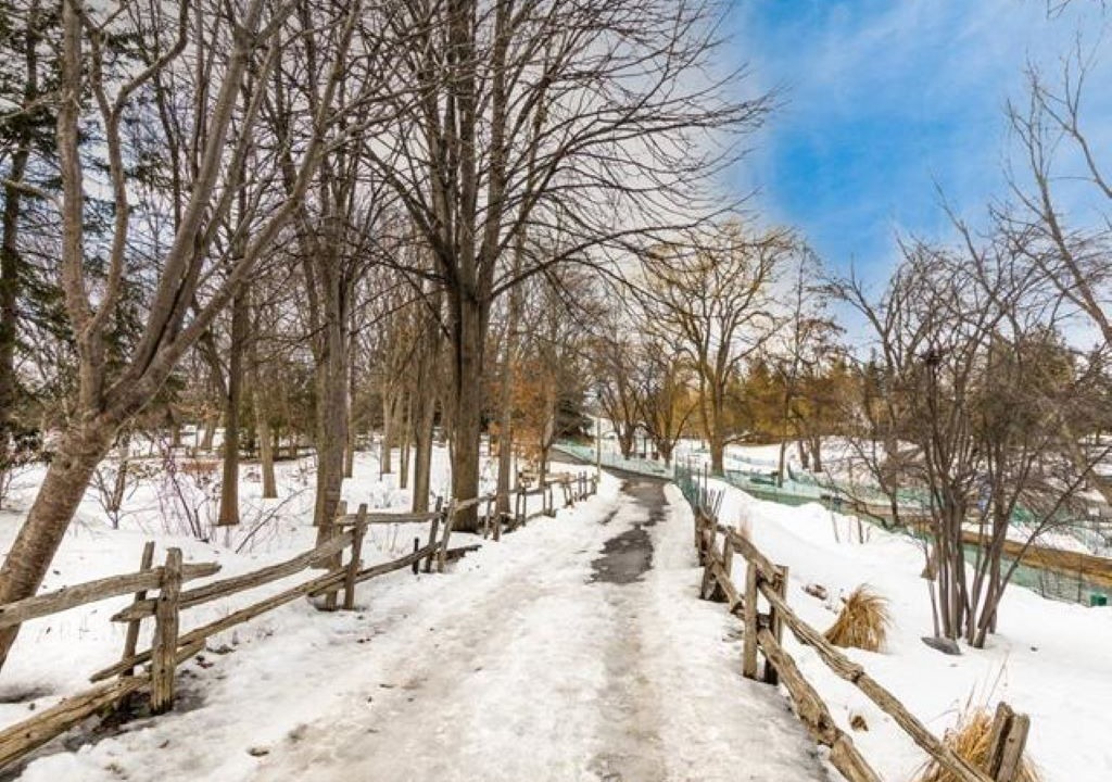 Photo of Outdoor in Laval