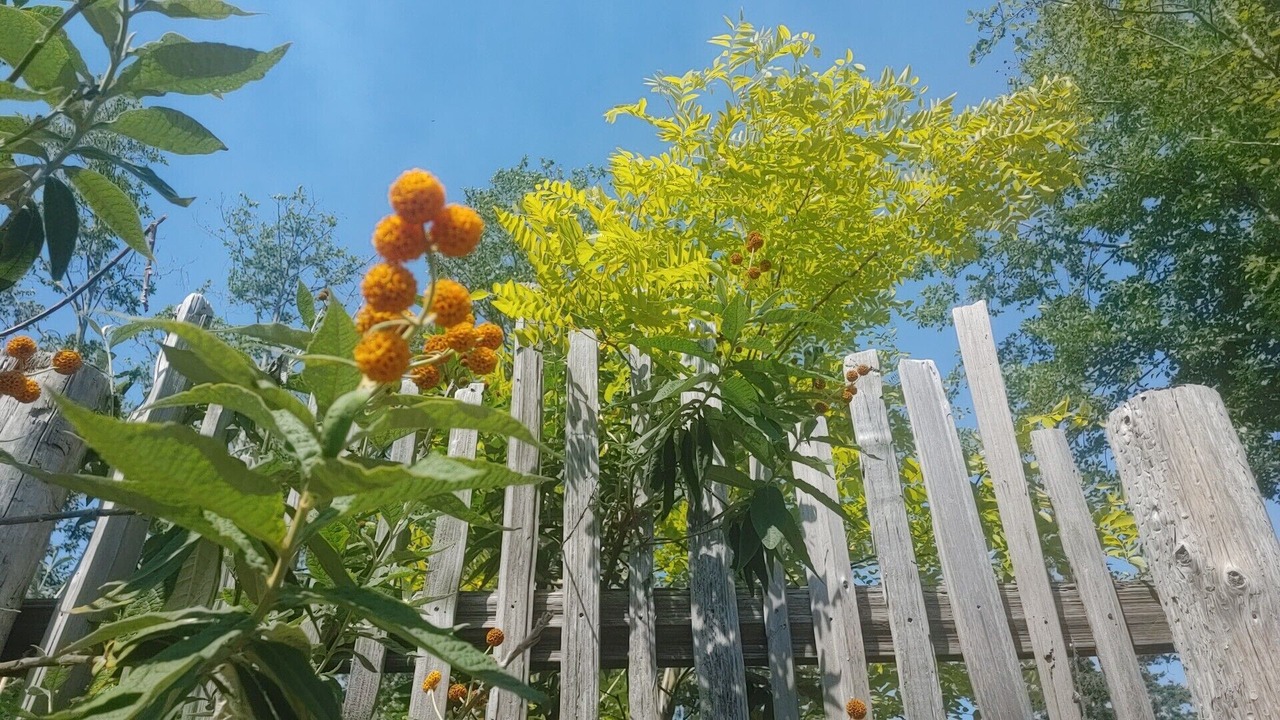 Photo of Outdoor in Denman Island