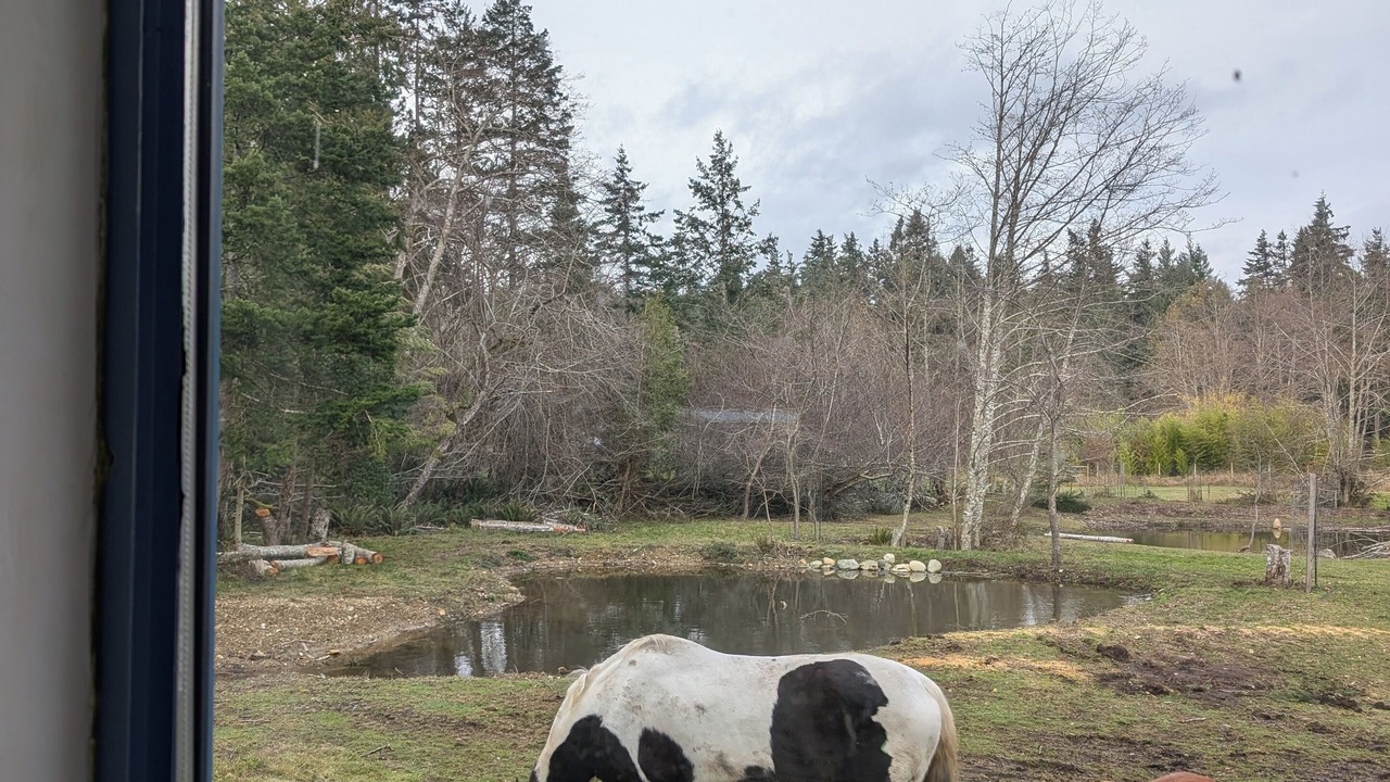 Photo of Others in Denman Island