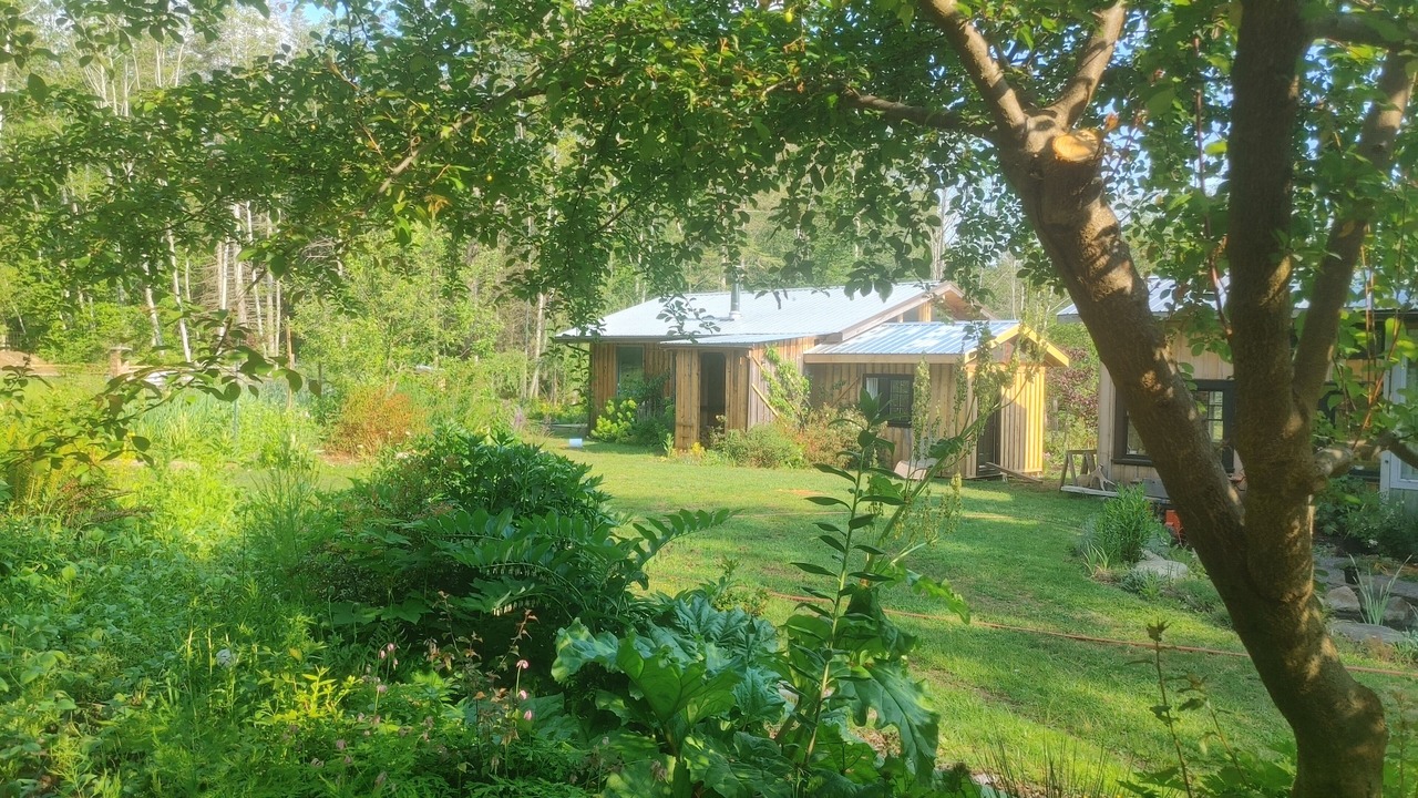 Photo of Outdoor in Denman Island