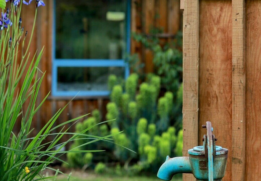 Photo of Outdoor in Denman Island