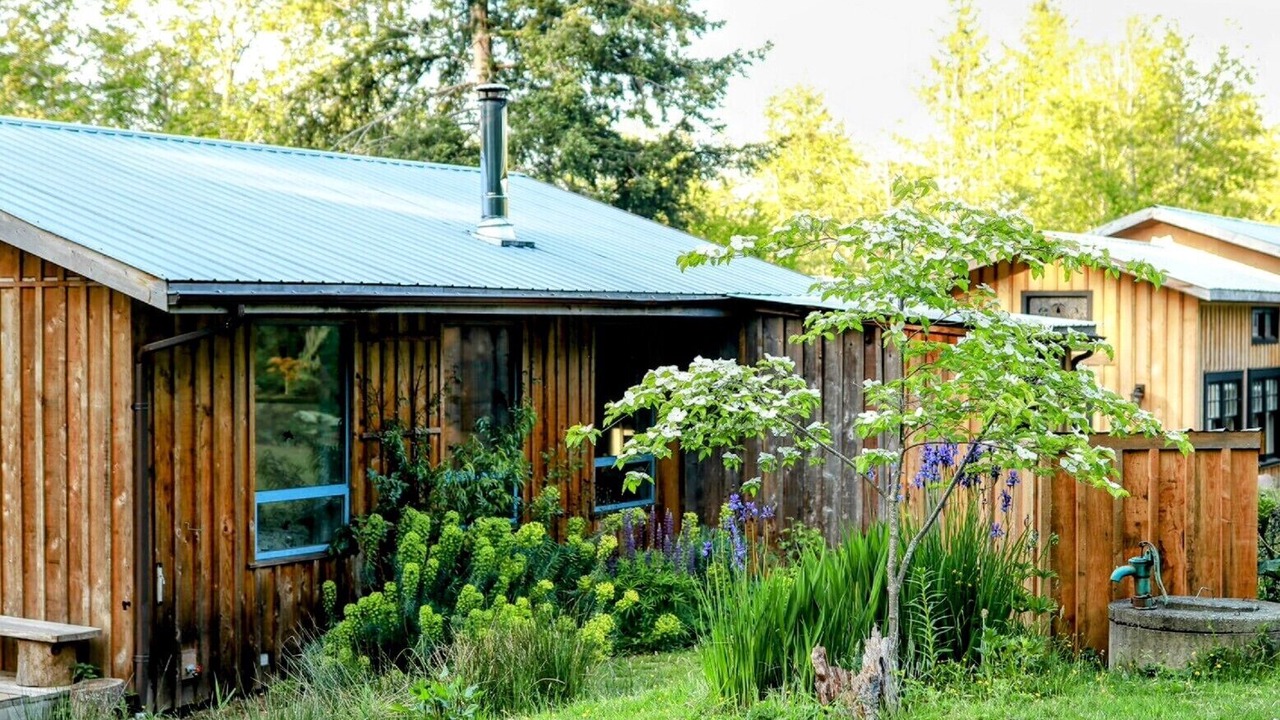 Photo of Outdoor in Denman Island