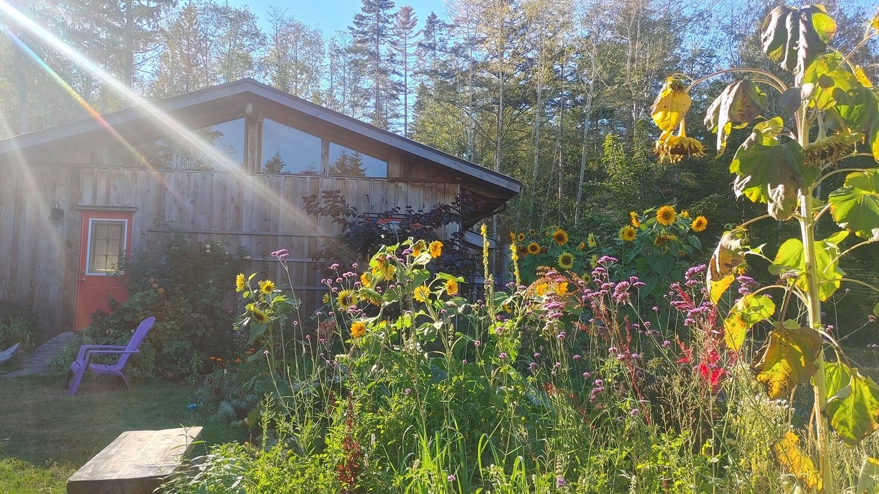 Photo of Outdoor in Denman Island