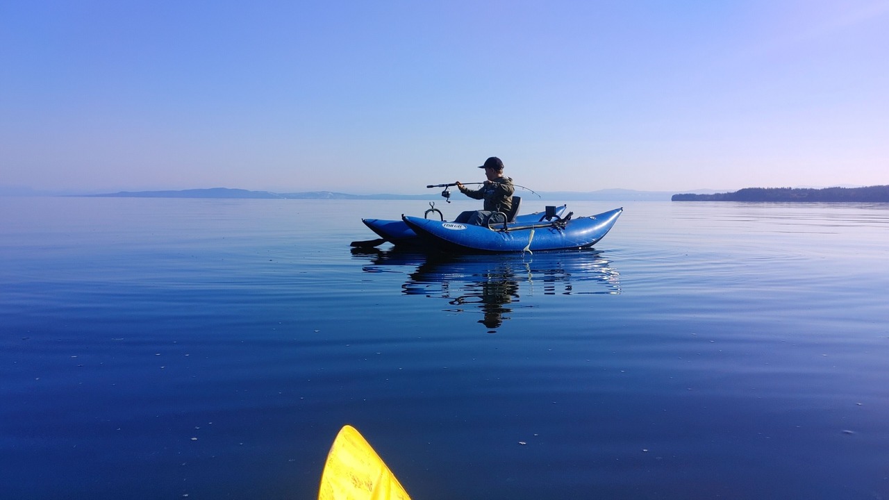 Photo of Others in Denman Island