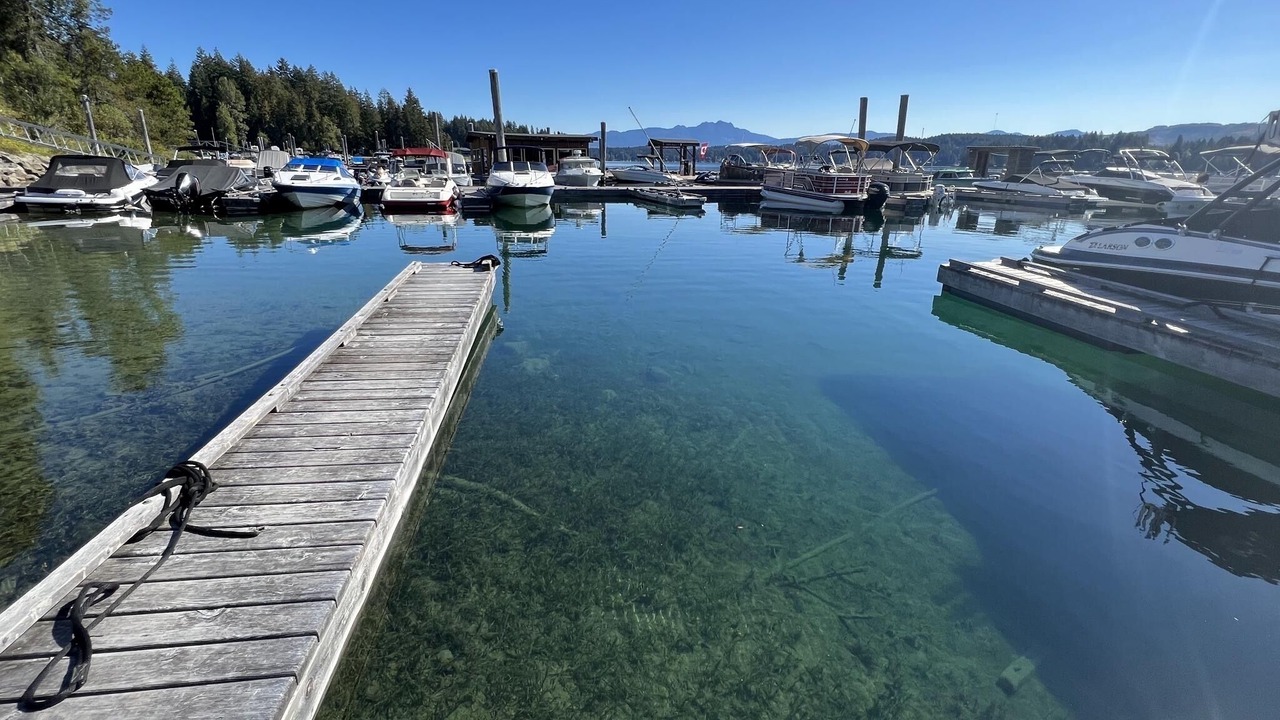 Photo of Others in Sproat Lake