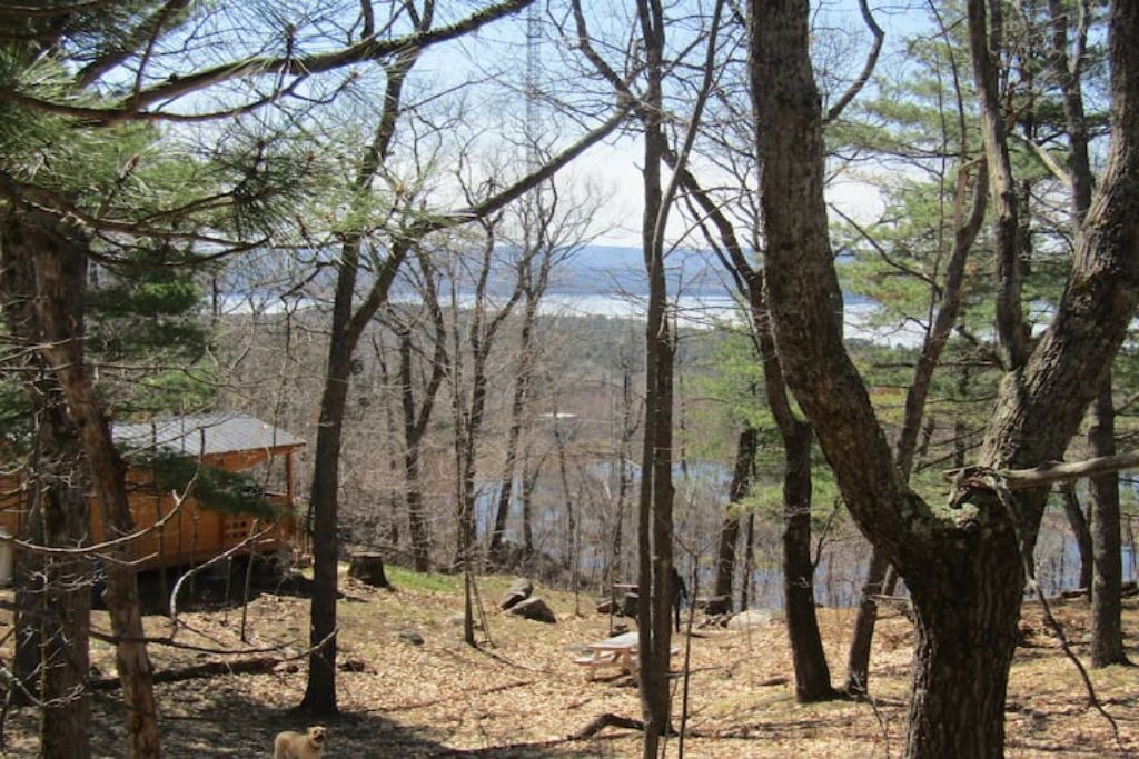 Photo of Outdoor in Golden Lake