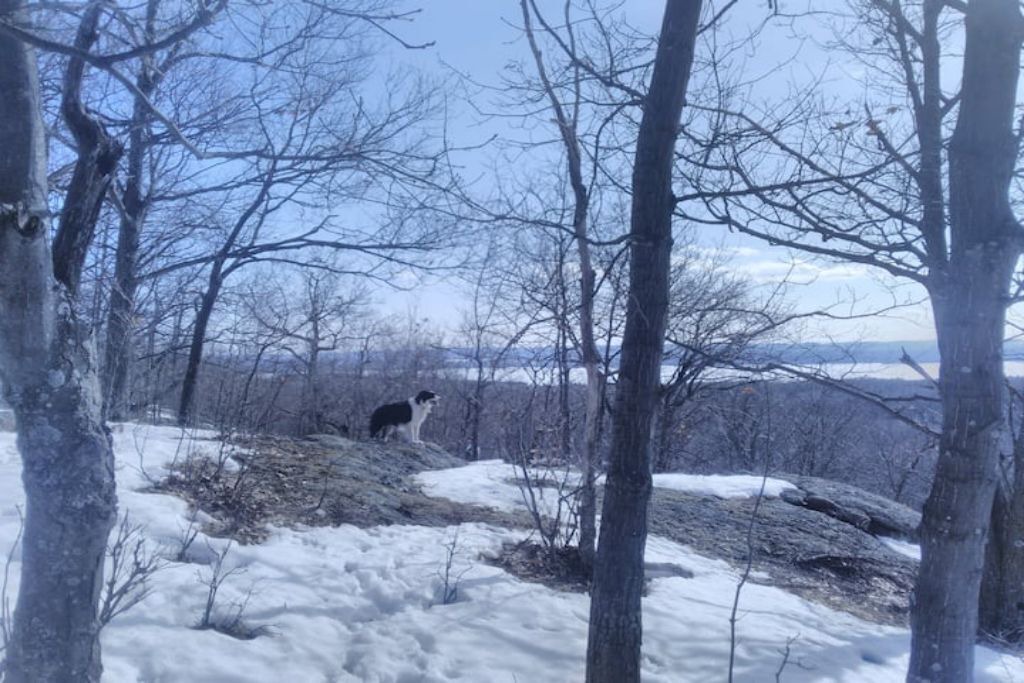 Photo of Outdoor in Golden Lake