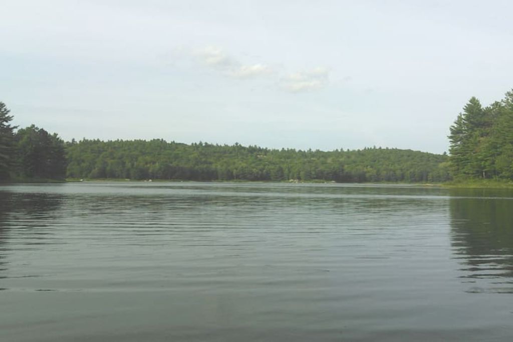 Photo of Others in Golden Lake