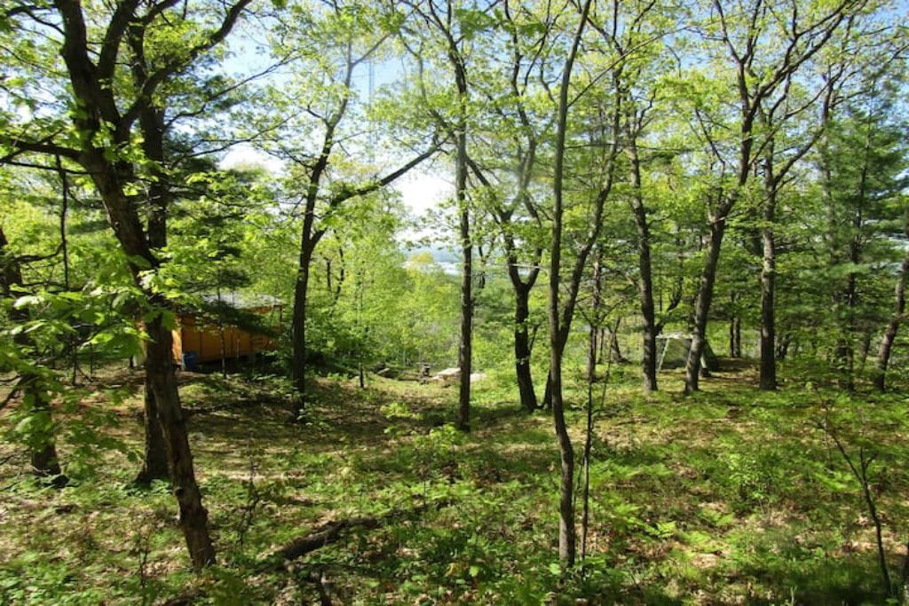 Photo of Others in Golden Lake