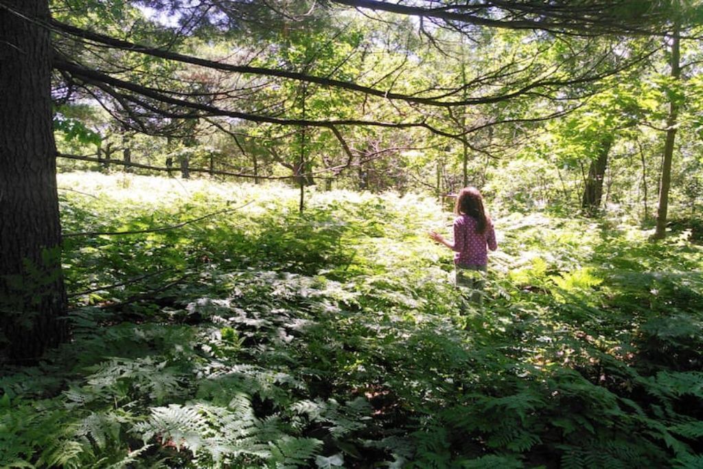 Photo of Outdoor in Golden Lake