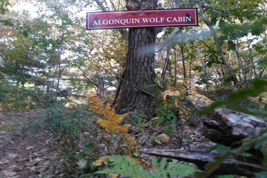 Photo of Outdoor in Golden Lake