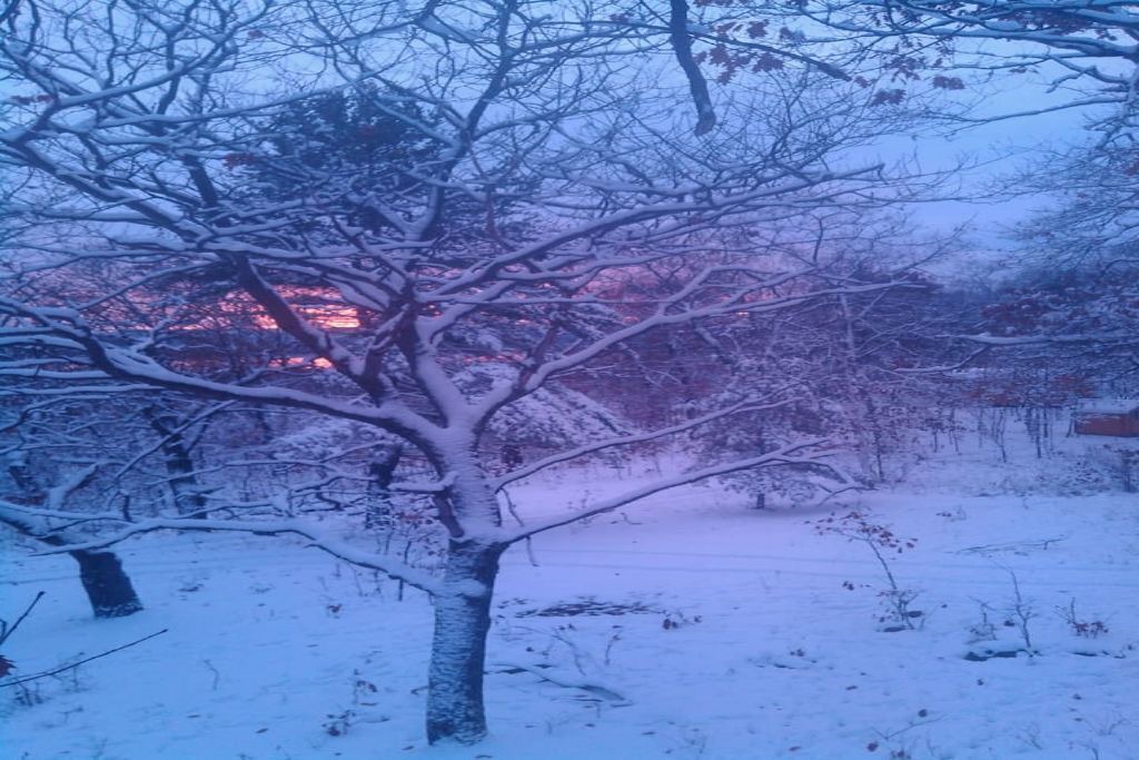 Photo of Outdoor in Golden Lake