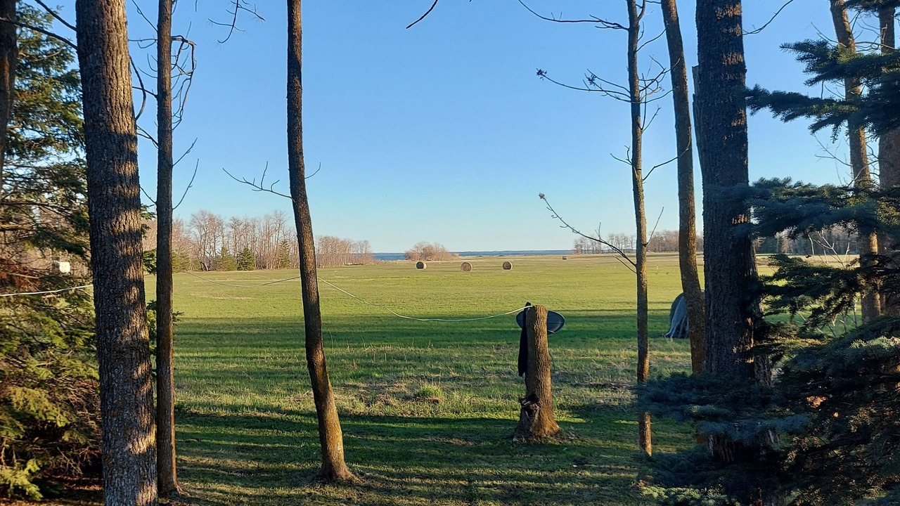 Photo of Outdoor in Riverton