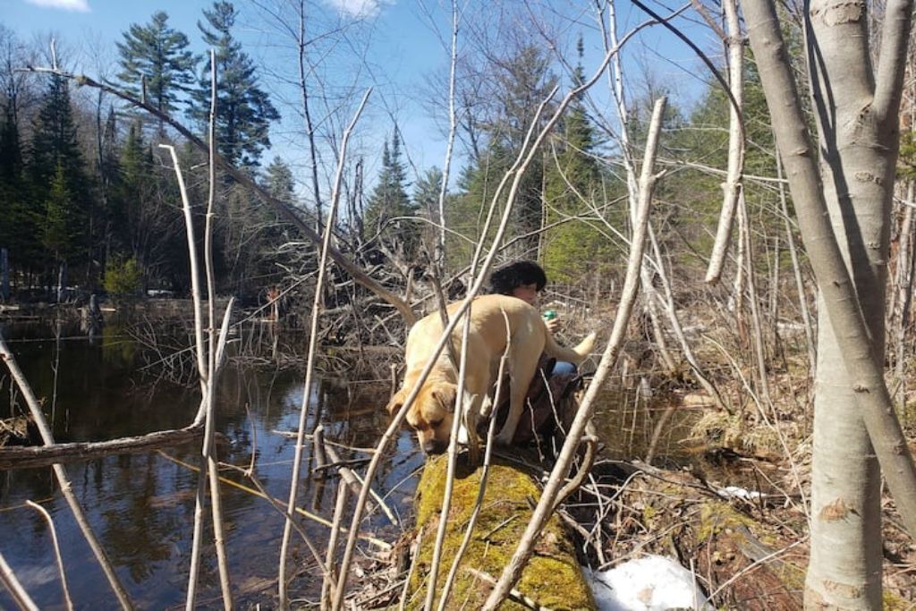 Photo of Others in Golden Lake