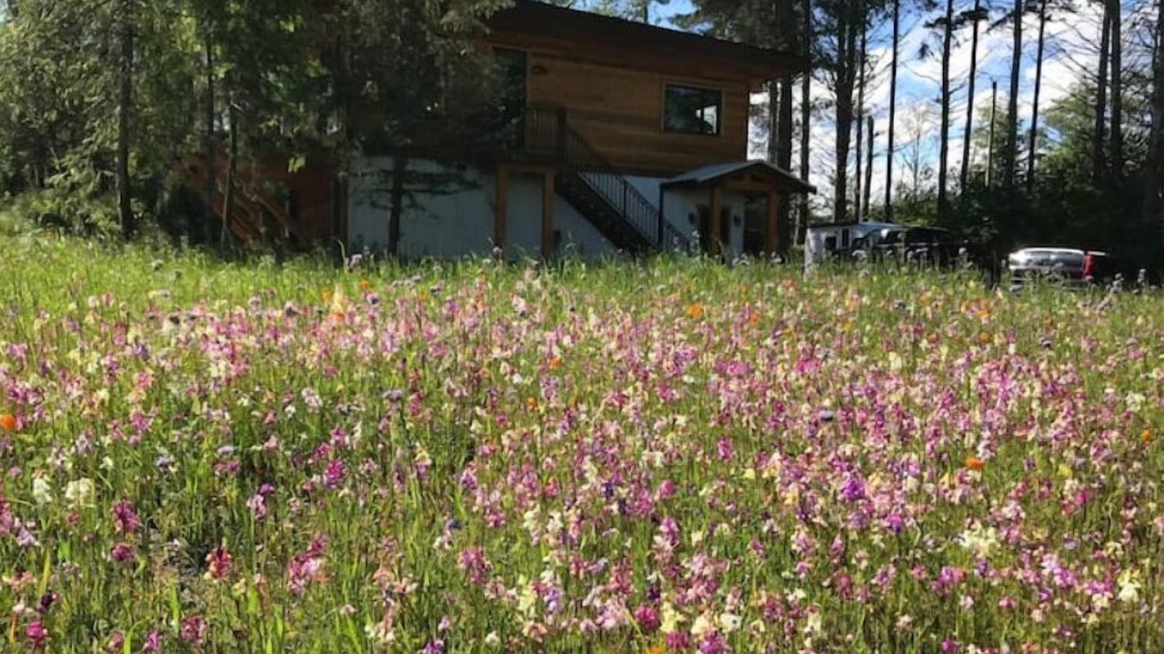 Photo of Outdoor in Juan de Fuca Electoral Area