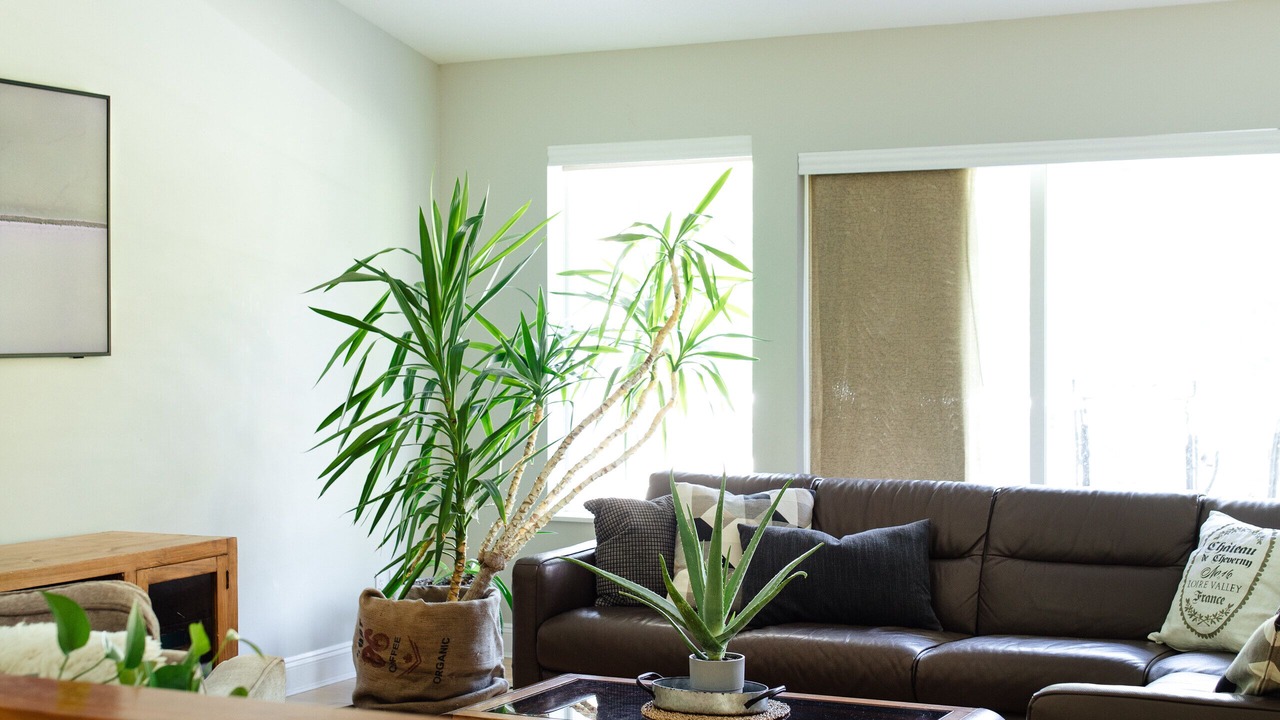 Photo of Livingroom in Slocan Park