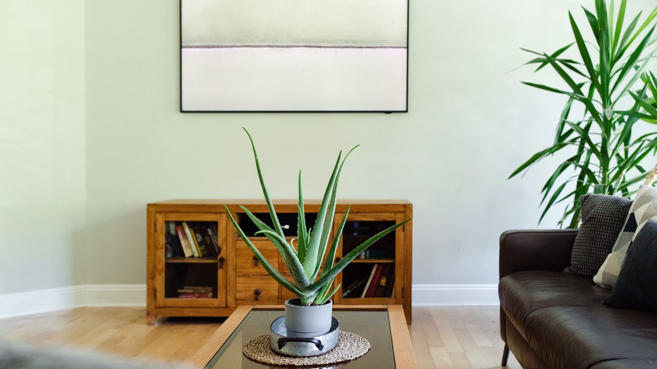 Photo of Livingroom in Slocan Park