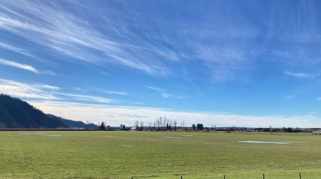 Photo of Others in Abbotsford