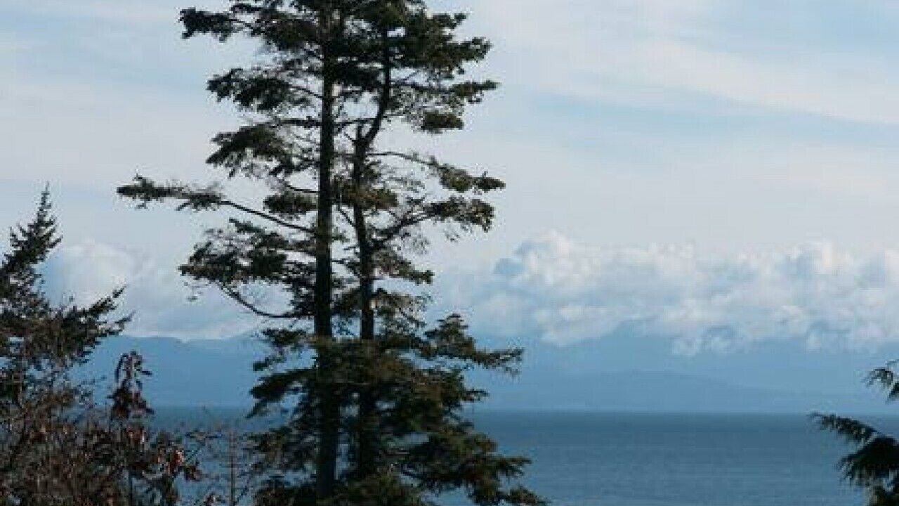 Photo of Others in Regional District of Nanaimo