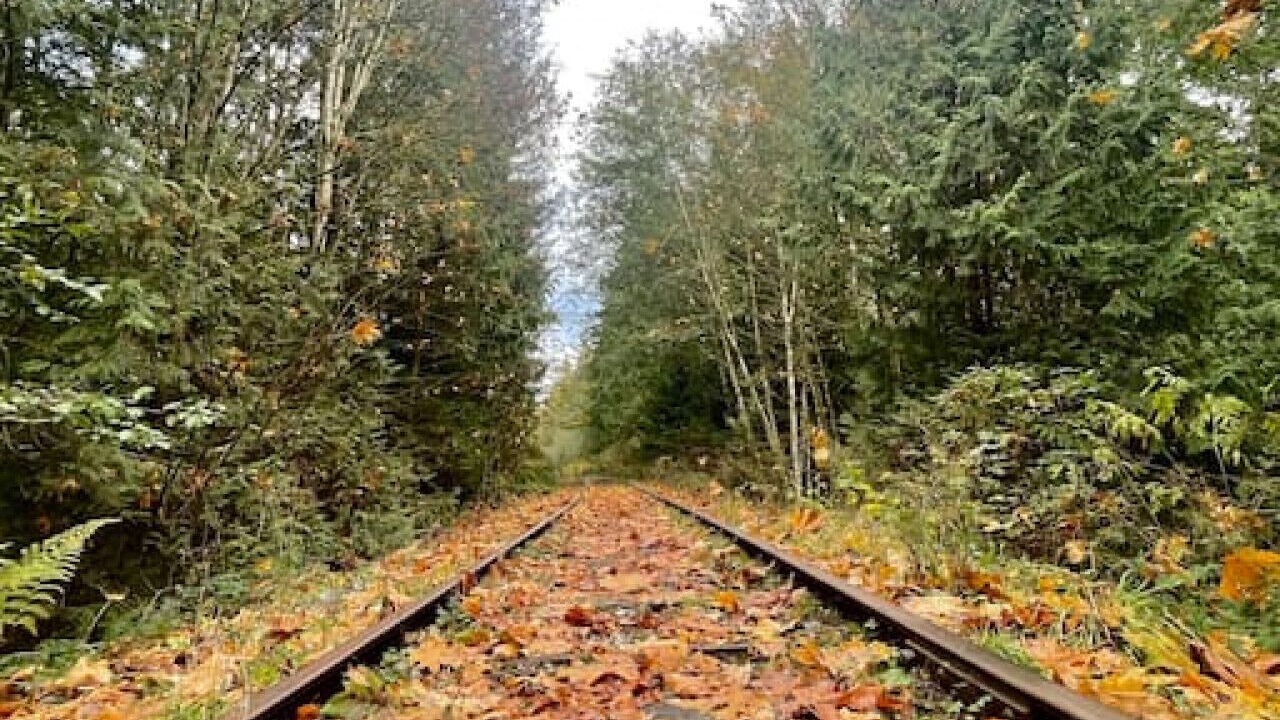 Photo of Others in Regional District of Nanaimo