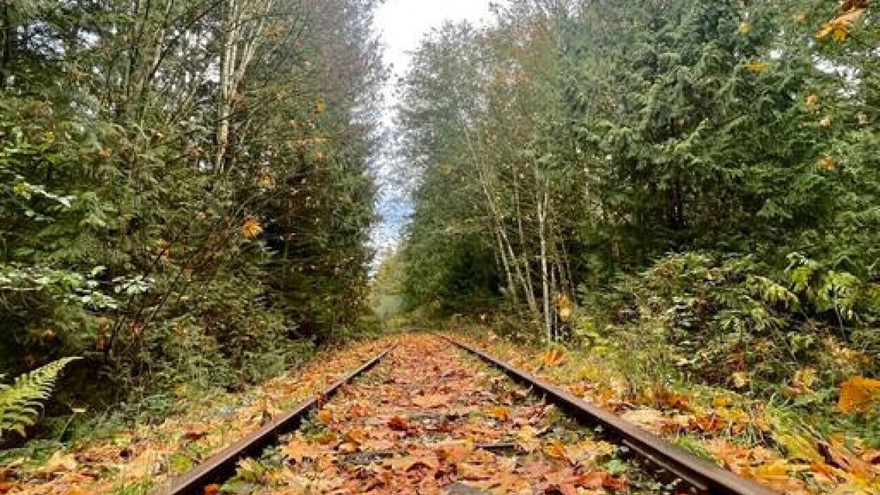 Photo of Others in Regional District of Nanaimo