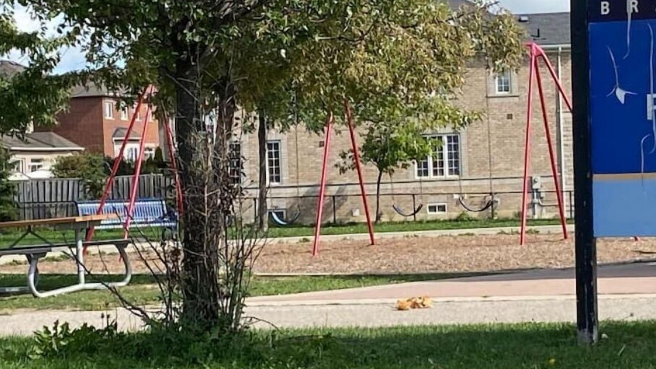 Photo of Others in Brampton