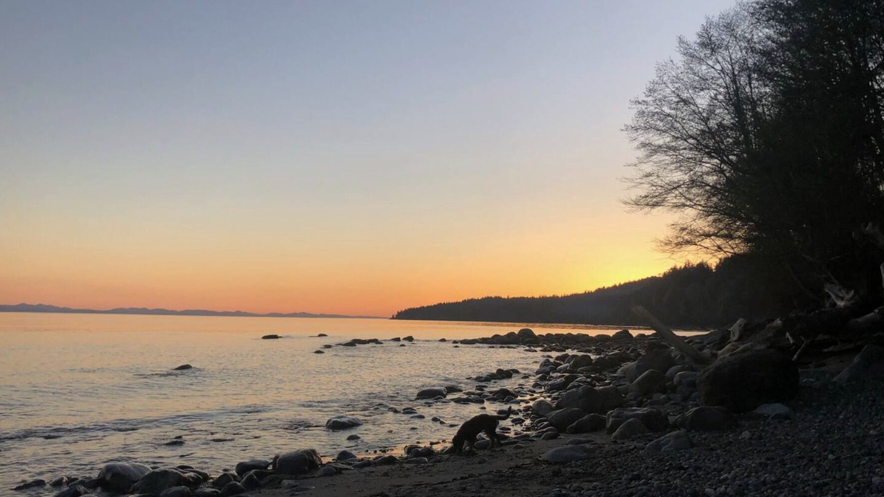 Photo of Others in Otter Point