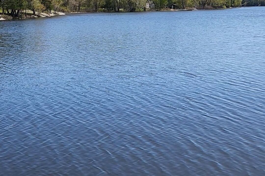 Photo of Others in Windermere