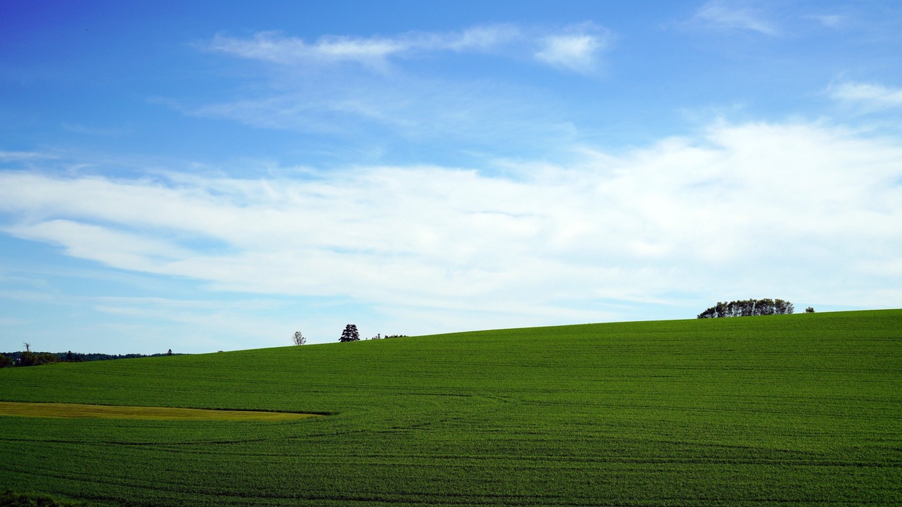 Photo of Others in New Glasgow