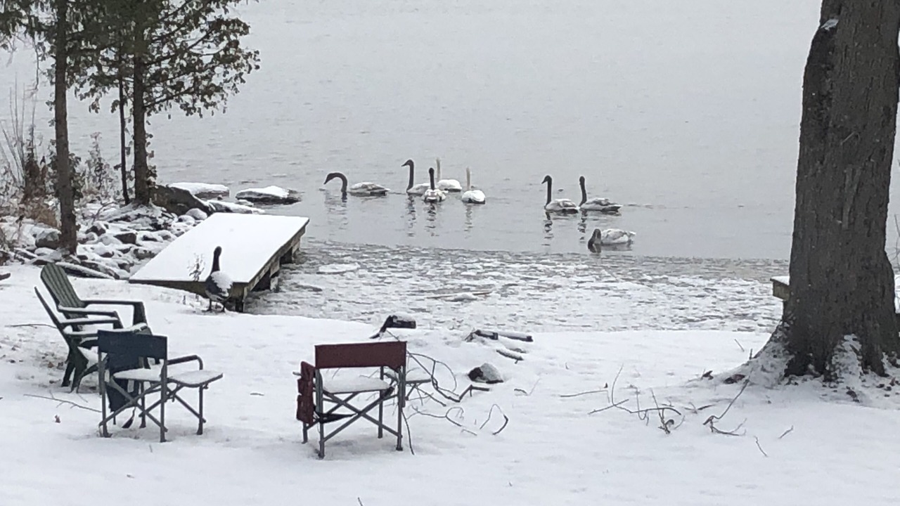 Photo of Outdoor in Bobcaygeon
