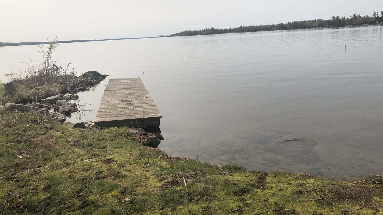 Photo of Others in Bobcaygeon