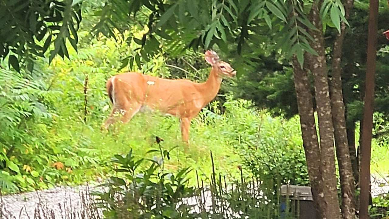 Photo of Outdoor in Val-des-Monts