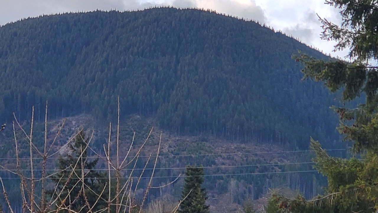 Photo of Others in Lake Cowichan