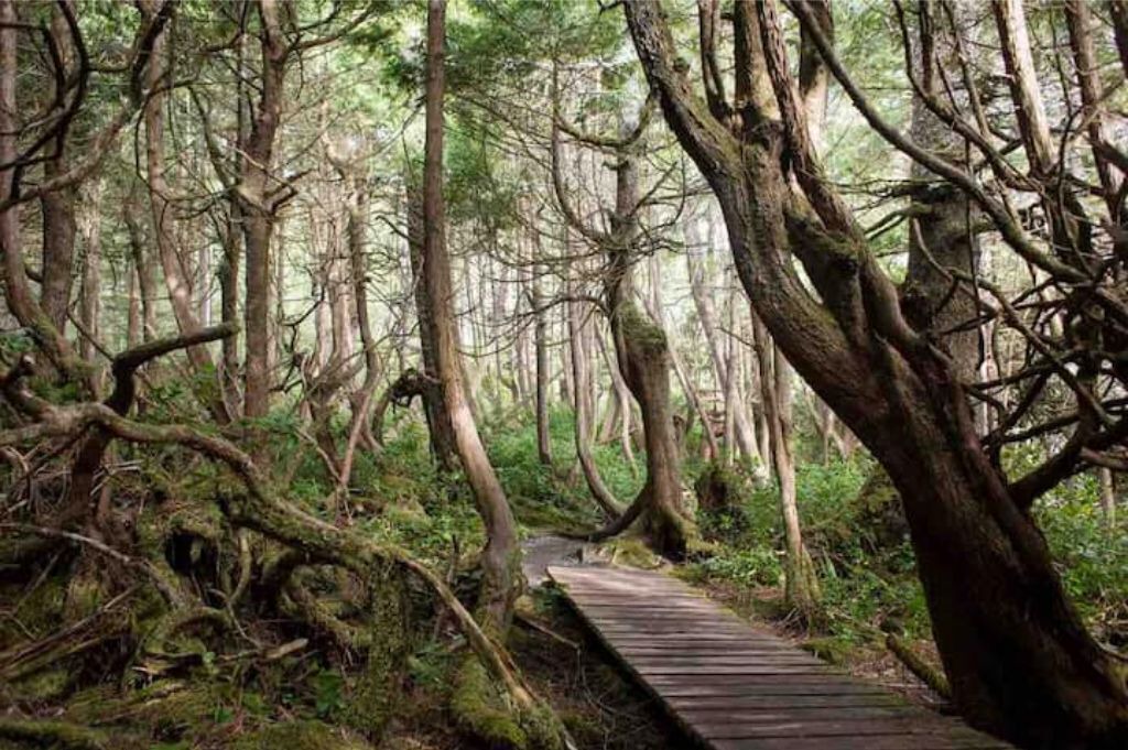 Photo of Outdoor in Port Renfrew