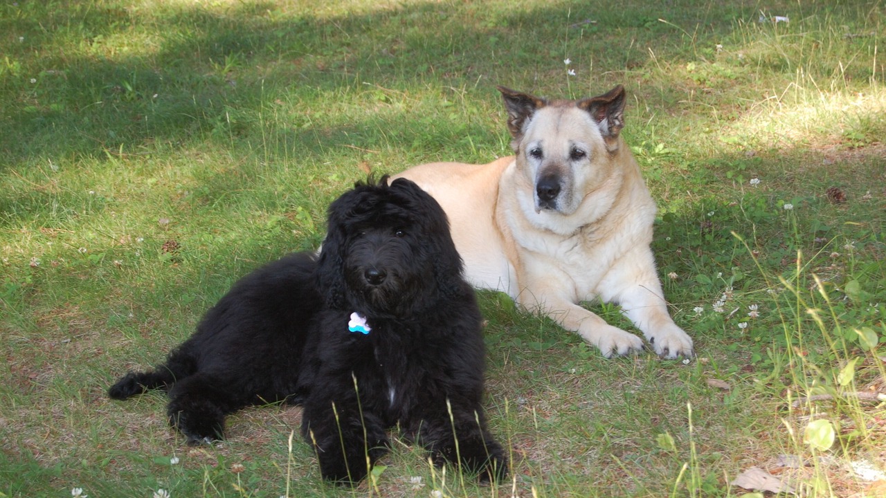 Photo of Others in Lac-du-Cerf