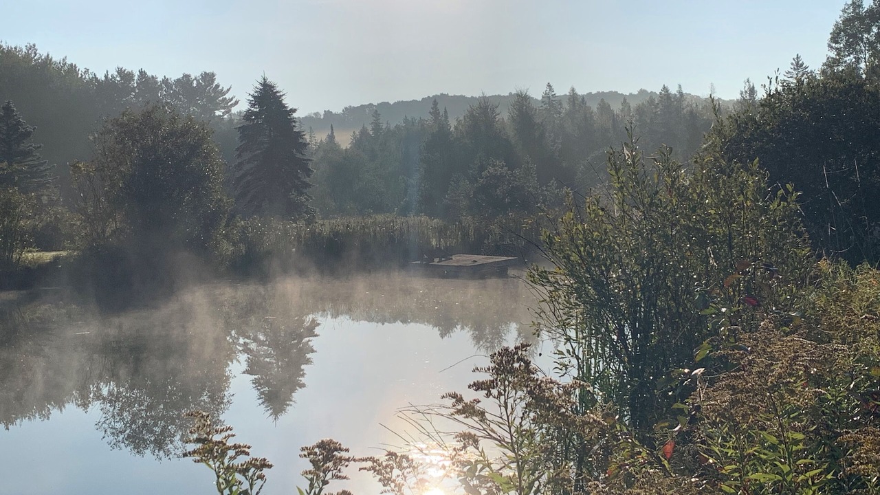 Photo of Others in Oro-Medonte