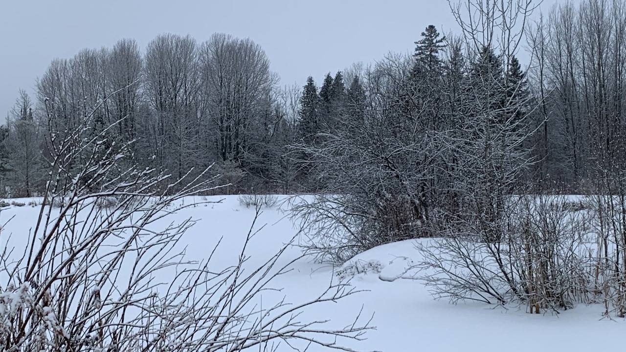 Photo of Others in Oro-Medonte