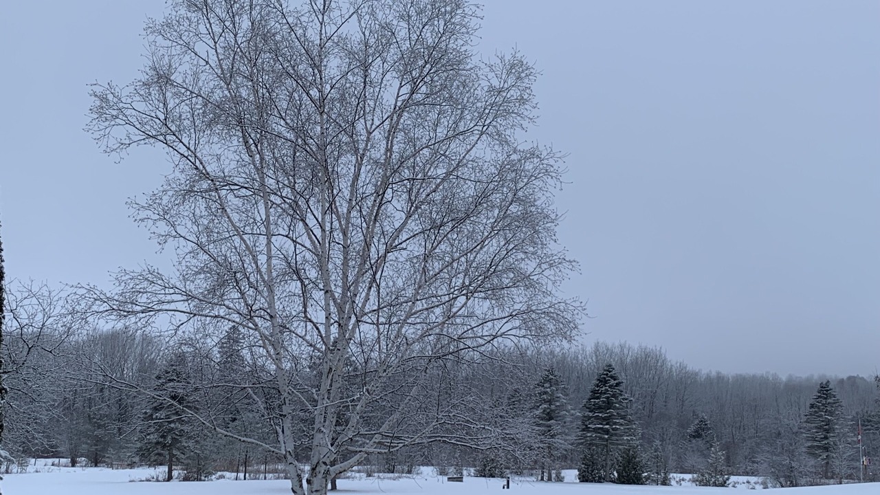 Photo of Others in Oro-Medonte