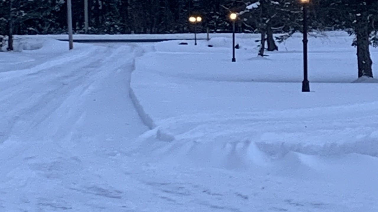Photo of Others in Oro-Medonte